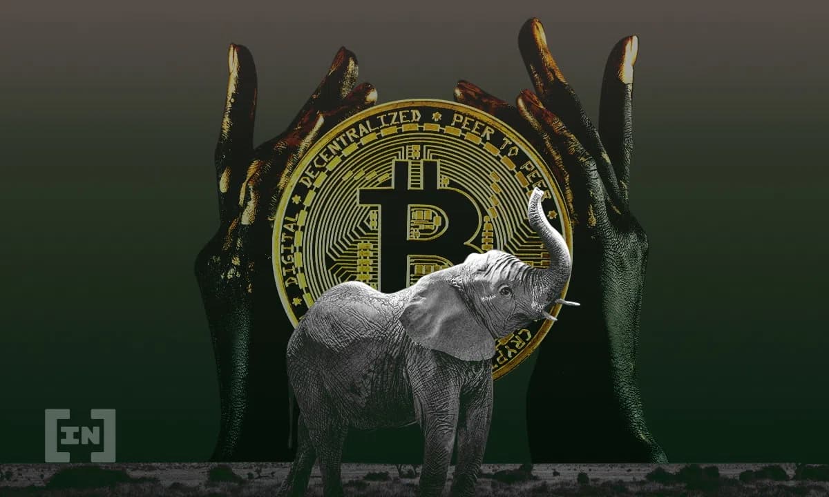 Cryptocurrency &amp; NFT ช่วยสนับสนุนโครงการสวัสดิการและการพัฒนาแห่งแอฟริกา