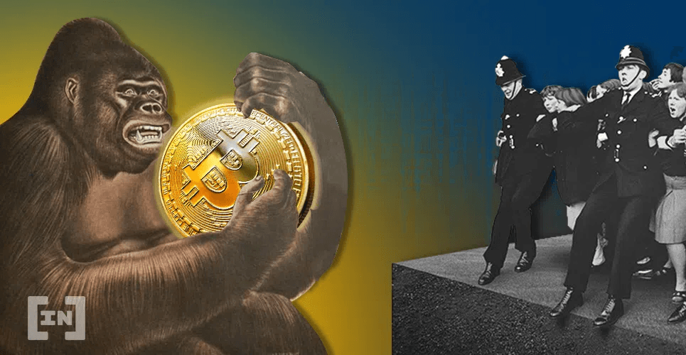 Blockchain Believer ยังคงกำไรสูงที่สุดอยู่