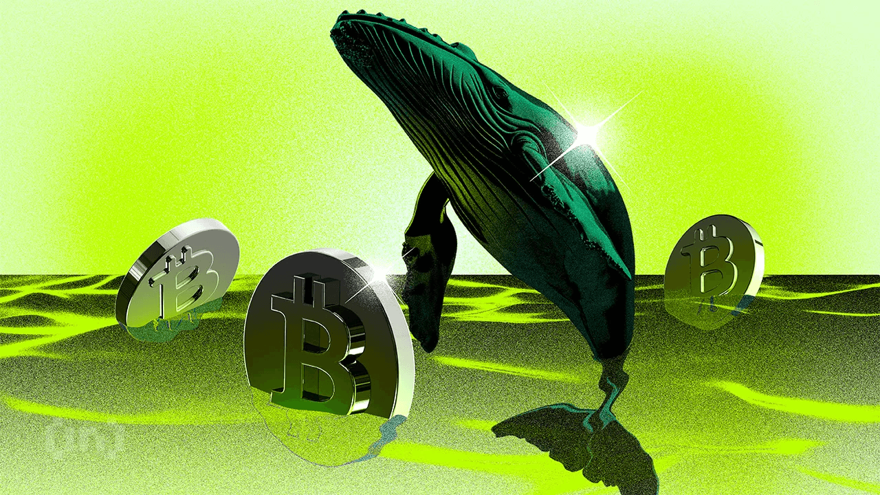 กระเป๋า Bitcoin เงียบ 12 ปี ขยับ 324 ล้าน USD—วาฬเก่ากำลังบอกอะไร?