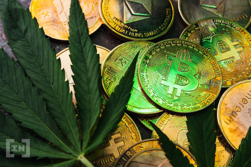 Global Cannabis Capital ทำการระดมทุนผ่าน Crypto