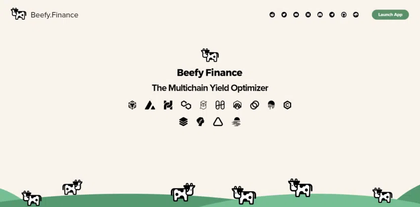 Beefy Finance 2