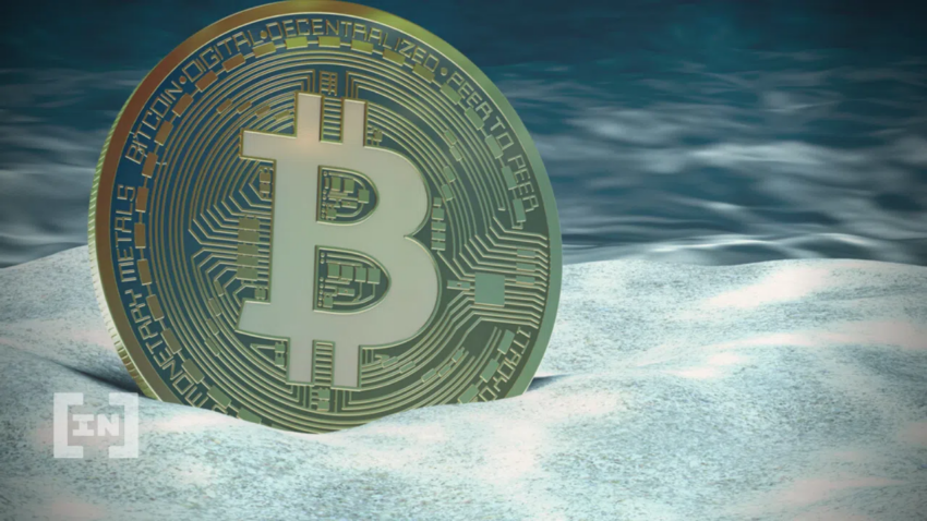 วาฬ Bitcoin กำลังคุมตลาดตอนนี้อยู่จริงหรือ?