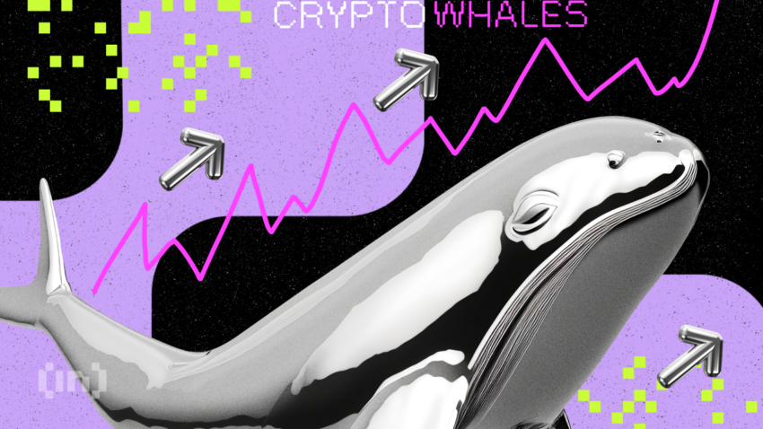 วิเคราะห์ทิศทางการลงทุนของ Crypto Whale