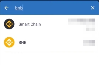 ค้นหาคำว่า bnb จากนั้น เลือกไปที่ Smart Chain